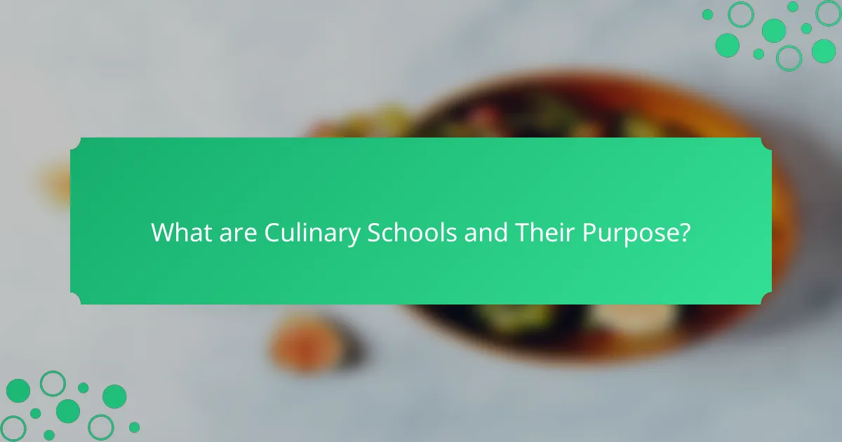 What are Culinary Schools and Their Purpose?